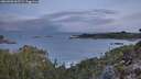 ./images/calvert/foggy-cove/20260330/foggy-cove20260330_065502M.jpg