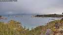 ./images/calvert/foggy-cove/20260330/foggy-cove20260330_081002M.jpg