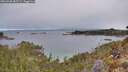 ./images/calvert/foggy-cove/20260330/foggy-cove20260330_082501M.jpg