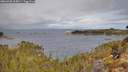 ./images/calvert/foggy-cove/20260330/foggy-cove20260330_105001M.jpg