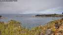 ./images/calvert/foggy-cove/20260330/foggy-cove20260330_111001M.jpg