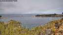 ./images/calvert/foggy-cove/20260330/foggy-cove20260330_111502M.jpg