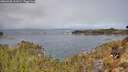 ./images/calvert/foggy-cove/20260330/foggy-cove20260330_112001M.jpg