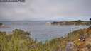 ./images/calvert/foggy-cove/20260330/foggy-cove20260330_112501M.jpg
