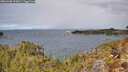 ./images/calvert/foggy-cove/20260330/foggy-cove20260330_123001M.jpg