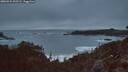 ./images/calvert/foggy-cove/20260331/foggy-cove20260331_202501M.jpg