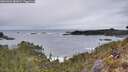 ./images/calvert/foggy-cove/20260401/foggy-cove20260401_083001M.jpg