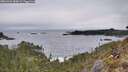 ./images/calvert/foggy-cove/20260401/foggy-cove20260401_084002M.jpg