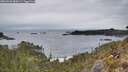 ./images/calvert/foggy-cove/20260401/foggy-cove20260401_084501M.jpg