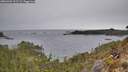 ./images/calvert/foggy-cove/20260401/foggy-cove20260401_112501M.jpg