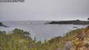 ./images/calvert/foggy-cove/20260401/foggy-cove20260401_114501M.jpg