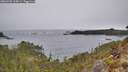 ./images/calvert/foggy-cove/20260401/foggy-cove20260401_115001M.jpg