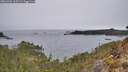 ./images/calvert/foggy-cove/20260401/foggy-cove20260401_115501M.jpg