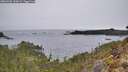 ./images/calvert/foggy-cove/20260401/foggy-cove20260401_120001M.jpg