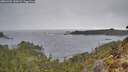 ./images/calvert/foggy-cove/20260401/foggy-cove20260401_130002M.jpg