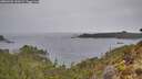./images/calvert/foggy-cove/20260401/foggy-cove20260401_132002M.jpg