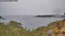 ./images/calvert/foggy-cove/20260401/foggy-cove20260401_133501M.jpg