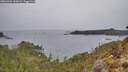 ./images/calvert/foggy-cove/20260401/foggy-cove20260401_134501M.jpg