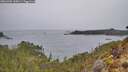 ./images/calvert/foggy-cove/20260401/foggy-cove20260401_135001M.jpg
