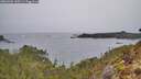 ./images/calvert/foggy-cove/20260401/foggy-cove20260401_135501M.jpg