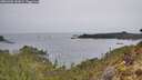 ./images/calvert/foggy-cove/20260401/foggy-cove20260401_141001M.jpg