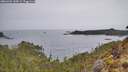 ./images/calvert/foggy-cove/20260401/foggy-cove20260401_143001M.jpg