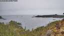 ./images/calvert/foggy-cove/20260401/foggy-cove20260401_144001M.jpg