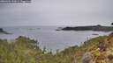 ./images/calvert/foggy-cove/20260401/foggy-cove20260401_152001M.jpg