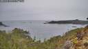 ./images/calvert/foggy-cove/20260401/foggy-cove20260401_152501M.jpg