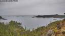 ./images/calvert/foggy-cove/20260401/foggy-cove20260401_160001M.jpg