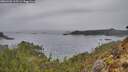 ./images/calvert/foggy-cove/20260401/foggy-cove20260401_165502M.jpg