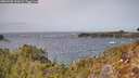 ./images/calvert/foggy-cove/20260402/foggy-cove20260402_133001M.jpg