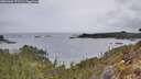 ./images/calvert/foggy-cove/20260402/foggy-cove20260402_172501M.jpg