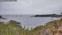 ./images/calvert/foggy-cove/20260402/foggy-cove20260402_173001M.jpg