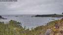 ./images/calvert/foggy-cove/20260402/foggy-cove20260402_175001M.jpg