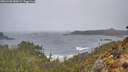 ./images/calvert/foggy-cove/20260403/foggy-cove20260403_080001M.jpg