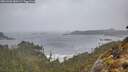 ./images/calvert/foggy-cove/20260403/foggy-cove20260403_080501M.jpg