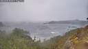 ./images/calvert/foggy-cove/20260403/foggy-cove20260403_082002M.jpg