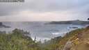 ./images/calvert/foggy-cove/20260403/foggy-cove20260403_083001M.jpg