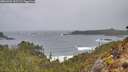 ./images/calvert/foggy-cove/20260403/foggy-cove20260403_102502M.jpg