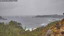 ./images/calvert/foggy-cove/20260403/foggy-cove20260403_104501M.jpg