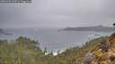 ./images/calvert/foggy-cove/20260403/foggy-cove20260403_115501M.jpg