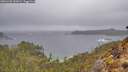 ./images/calvert/foggy-cove/20260403/foggy-cove20260403_122001M.jpg