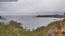 ./images/calvert/foggy-cove/20260403/foggy-cove20260403_123001M.jpg