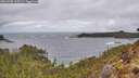./images/calvert/foggy-cove/20260403/foggy-cove20260403_125501M.jpg