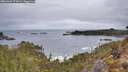 ./images/calvert/foggy-cove/20260404/foggy-cove20260404_074501M.jpg