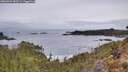 ./images/calvert/foggy-cove/20260404/foggy-cove20260404_083501M.jpg