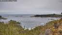./images/calvert/foggy-cove/20260404/foggy-cove20260404_110501M.jpg