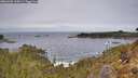 ./images/calvert/foggy-cove/20260404/foggy-cove20260404_115001M.jpg