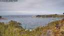 ./images/calvert/foggy-cove/20260404/foggy-cove20260404_124001M.jpg
